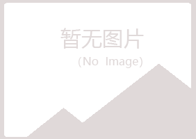 宝鸡金台山柏造纸有限公司